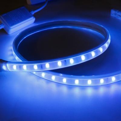 China Flexible LANDSCAPE RGB Strip Light 5050 Color Strip High Quality High Brightness High Brightness Led RGB 5050 Strip Light for sale