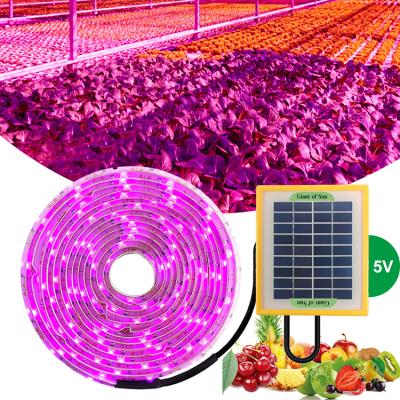 China Seed Starting Cultivating Hydroponic Greenhouse Growth Lighting Led Solar Plant Light Strip for sale