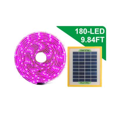 China Seed Starting Full Spectrum Growing Light Led Light Bars For Indoor Hydroponic Garden Plant for sale