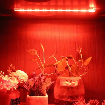 China Seed Starting Succulents Commercial Hydroponic Light Led Plant Grow Light Bar Full Spectrum For Indoor Plant Grow for sale