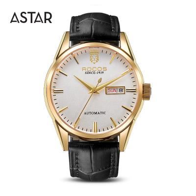 China Automatic date read to ship tock high quality minimalist seagull IP plating stainless steel men's automatic mechanical watch for sale for sale