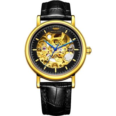 China Automatic date RTS no stainless steel custom skeleton seagull moq luxury caseback mechanical automatic transparent men's wristwatch for sale for sale