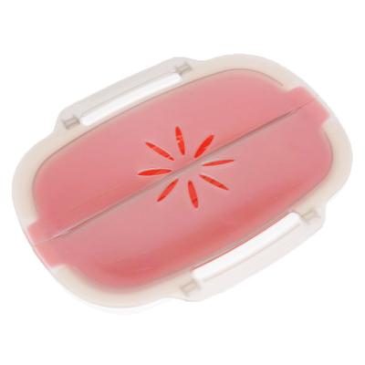 China Hot Sale Kitchen Stored Meat Canisters Microwavable Plastic Microwave Food Container Steamers for sale