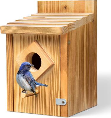 China Bluebird Nesting Box with Wooden Construction and Waterproof Spray Paint Treatment for sale