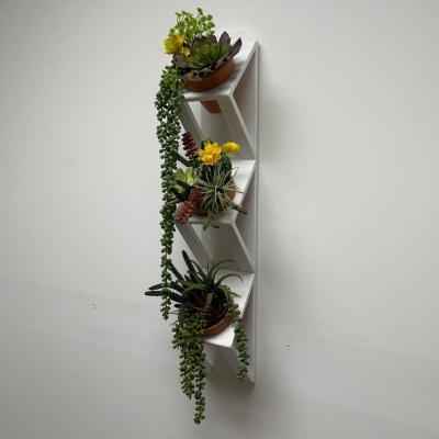 China Succulent or Herb Garden Wooden Wall Planter in White with Customized Logo Acceptable for sale