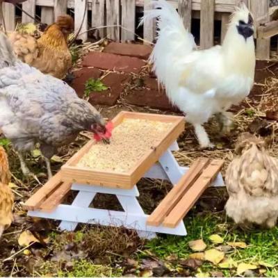 China Pet Feeder Mini Picnic Table Kipvoerder voor kleine dieren GEEN LCD-scherm Te koop