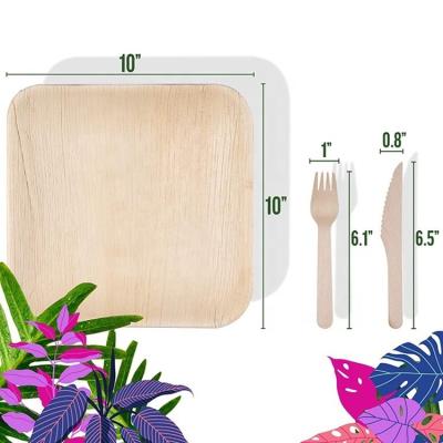 China Food Beverage Manufacture Disposable Natural Palm Leaf Plates 6'' 8