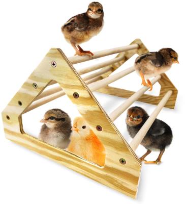 China Grijze kippenperk Sterk Houten Jungle Gym Roosting Bar Kip speelgoed voor Coop en Brooder Te koop