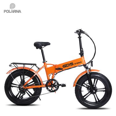 China Multifunctional Electric Bike 48V Lithium Battery With Charger Protection Board E Bike 1000W/750W/500W/350W Motor 20