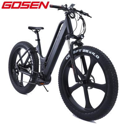 China Multifunctional Mountain Ebike 26