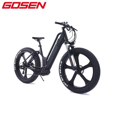 China Mountain Multifunctional Vintage Customization Factory Electric Bike for sale