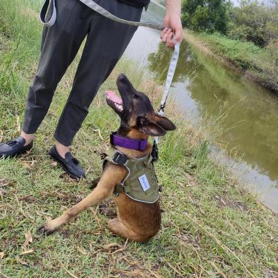 China Customized Viable Tactical Cooling Luxury Dog Vest Mesh Safety Belt Tactical Military Army Chest Harness for sale