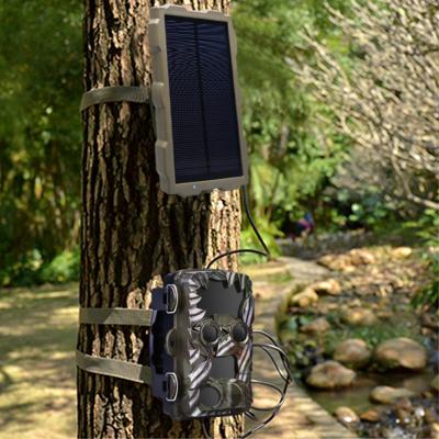 China Polysilicone -20 60 Degree Camera Weather-Resistant DC 6V 300ma Use Solar Panel Adaptive Hunting Chargers for sale