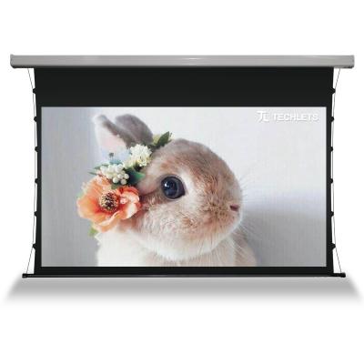 China Electric Tension Screen 110 Inch Motorized Tension Slim Screen With Crystal Ambient Light Screen ALR CLR Fabric PET ALR Electric Screen for sale