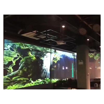 China 3d Hologram Projection Mesh Projector Screen Holographic Hologram Pepperscrim Display For 3D Hologram Show for sale