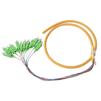 China FTTx Project FTTH ODF SM Fiber Optic Pigtail 12 Core Bundle Pigtail for sale