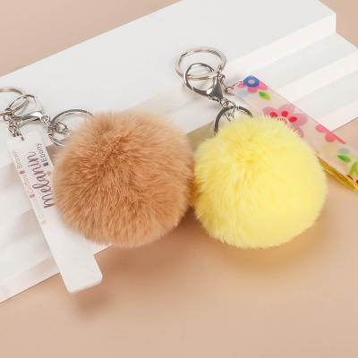 China Eco - Friendly Wholesale Puller Custom Your Own Credit Card Grabber Key Chain For Long Nails for sale