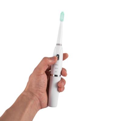 China Battery Operated Removable CVB-913 Waterproof Electric Toothbrush With Replaceable Brush Head Dental Care Tool Tooth Cleaner for sale