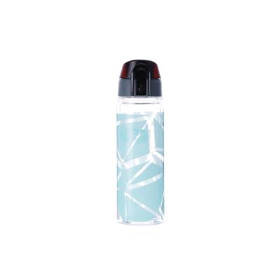 China CLASSIC 2021 New Promotion Custom Hot Water Bottle Gym Best Selling Water Bottle for sale