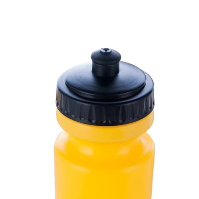 China Sustainable Gym Plastic Bottle Modern Sports Running Cute High Quality 550ML Water Bottle for sale