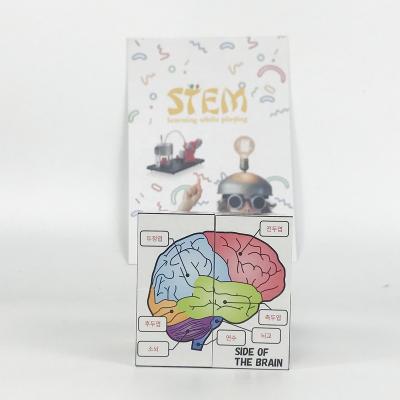 China STEM Educational Kit Kid's Toy DIY Biology Organ Cube Science Kit Stem Toys For Kids Biology Toy for sale