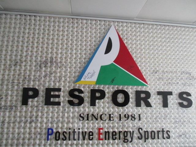 Verified China supplier - Foshan Positive Energy Sports Development Co.,Ltd.