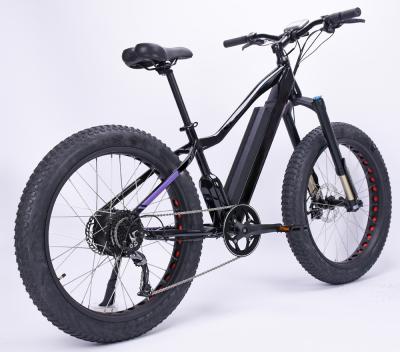 China Fat tire Landon 26&20 inch tire electric bicycle alloy e-bike man woman child ply aluminum frame for sale