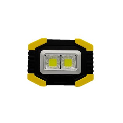 China COB light factory wholesale price 20w cob side flood light led flood light 2 in 1led flame effect light for outdoor for sale