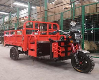 China 2020 Tricycle, Chongqing Popular Motor Good Sale Electric Cargo Tricycle for sale