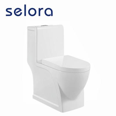 China Large Outlet Fashion One Piece Modern Design Ceramic Flush Dual Squat Squat Single Toilet Bowl for sale