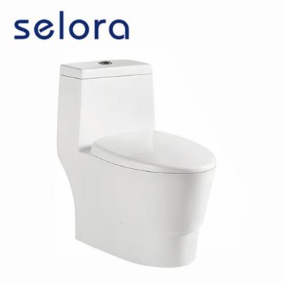 China Double-Flow Factory Toilets Washdown One Piece Porcelain Ceramic Composting Toilet For Hot Sale for sale