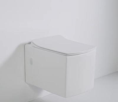 China Unique Hidden Porcelain Sanitary Wall Hanging Cistern Bathroom Ware Toilet Without Water Tank for sale