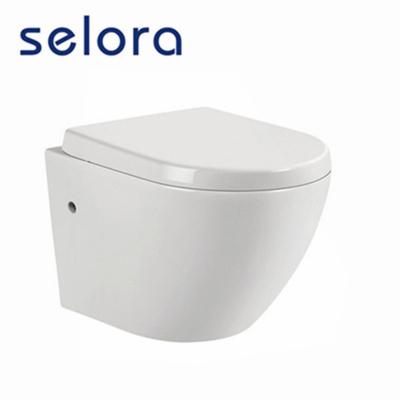 China Modern European Durable Porcelain Wall Hung Toilet Dimensions With Standard for sale