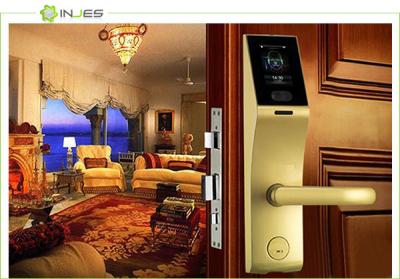 China European Mortise Biometrics Smart Face Recognition Door Lock Access Control for sale