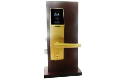 China Digital Face Matching Door Lock  for sale