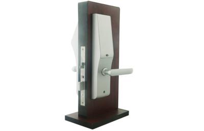 China Smart Face Scanner Door Security Lock for sale