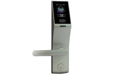 China Silver Face Detector Facial Recognition Door Lock for Door Security System for sale