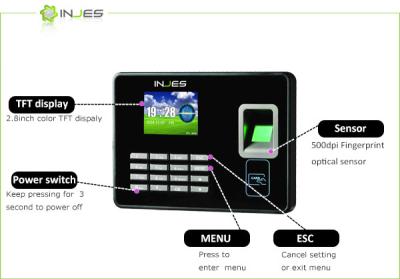 China New Popular wifi persian fingerprint time clock with color display and free SDK for sale