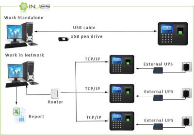 China Network Ethernet fingerprint clocking and access control with TFT Color Display for sale