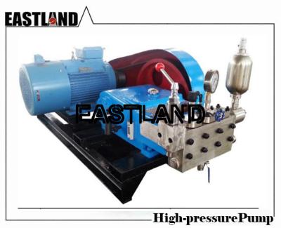 China Sell Quality Chemical Feeding Pump Triplex Plunger Pump Made in China for sale