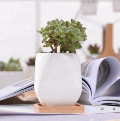 China Factory Price Ceramic Small Square White Succulent Flower Pots Ceramic Pots for sale