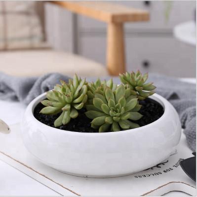 China Fashion Modern Home Ceramic Ellipse Flower Pot for sale