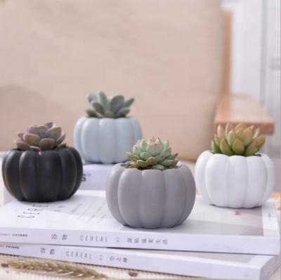 China New Inventions Ceramic Pumpkin Shape Mini Pot With Succulent Planter for sale