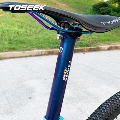 China Carbon tube+Aluminum Alloy Head TOSEEK WCS Bike Seatpost Mountain Bike Seat Tube Aero Carbon Seatpost 27.2/30.8/31.6mm for sale