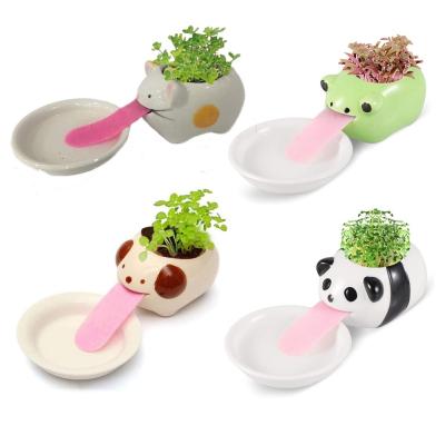 China Mini Cartoon Flower Pots Ceramic Creative Succulent Plants Animal Pot for sale