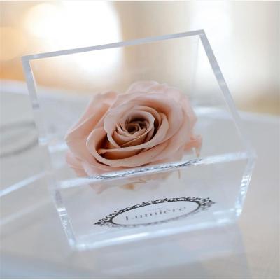 China Handmade Luxury Custom Clear Acrylic Flower Gift Box With Ribbon For Single Rose Packing for sale