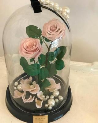 China Handmade Romantic Design Custom Glass Dome for Roses Flower with LED Light for Valentine's Day for sale