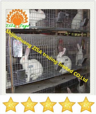 China Automatic Rabbit 24 Rabbits Rabbit Breeding Cage Equipment In Kenya for sale