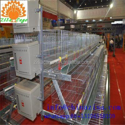 China Easily install zisa factory chicken egg poultry farm equipment cheap price for sale