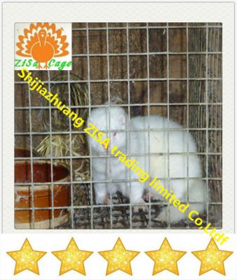 China Grow Animal Cage Mink Cage Welded Wire Mesh Mink Cage for sale